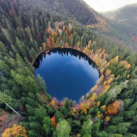 La Cremaillotte A L'oree De La Foret