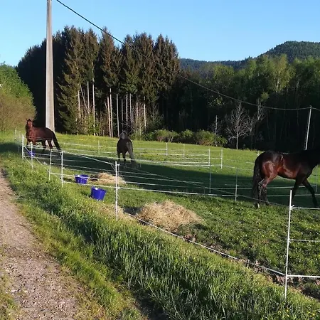 La Cremaillotte A L'oree De La Foret * Celles-sur-Plaine